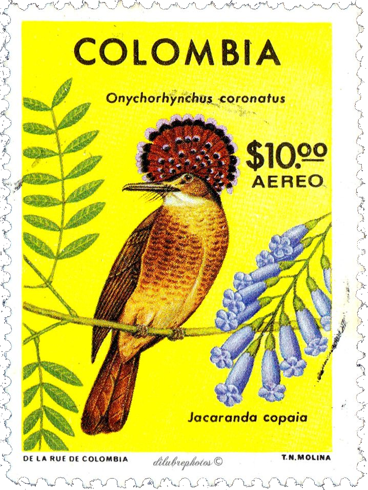 Apostilla antigua de Colombia con Onychorynchus
