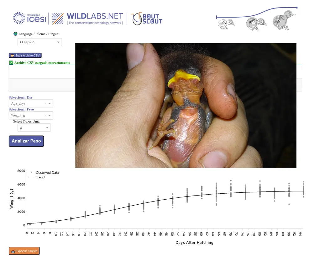 Nestling App