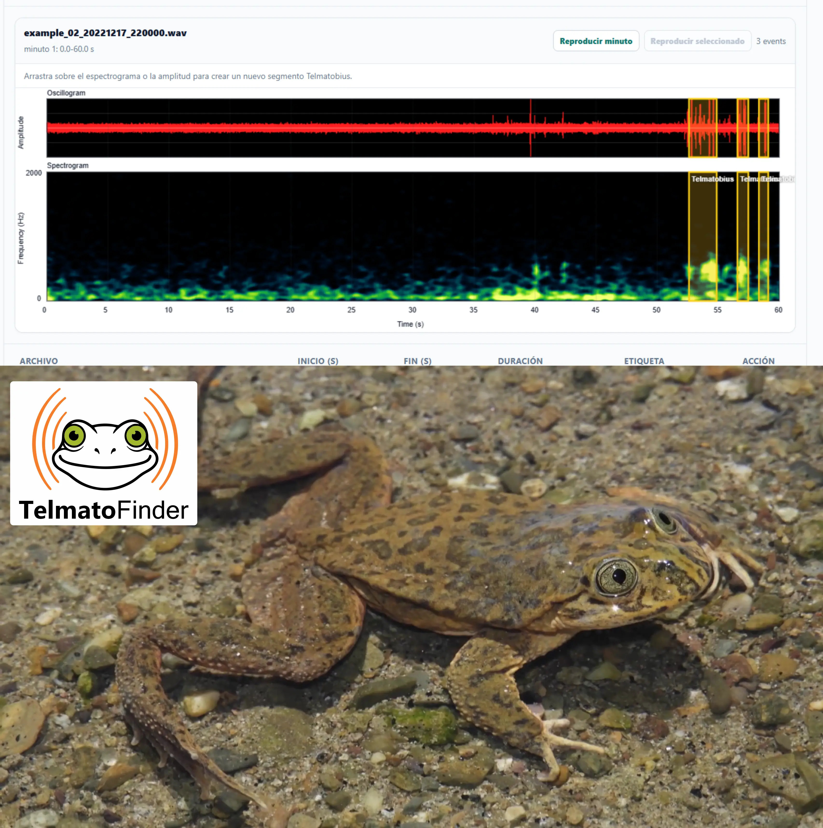 TelmatoFinder